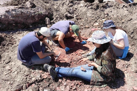 70 anos depois, mais de 100 fsseis so encontrados em stio paleontolgico perdido no RS