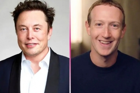 Elon Musk desafia Mark Zuckerberg em luta livre  e ele aceita!
