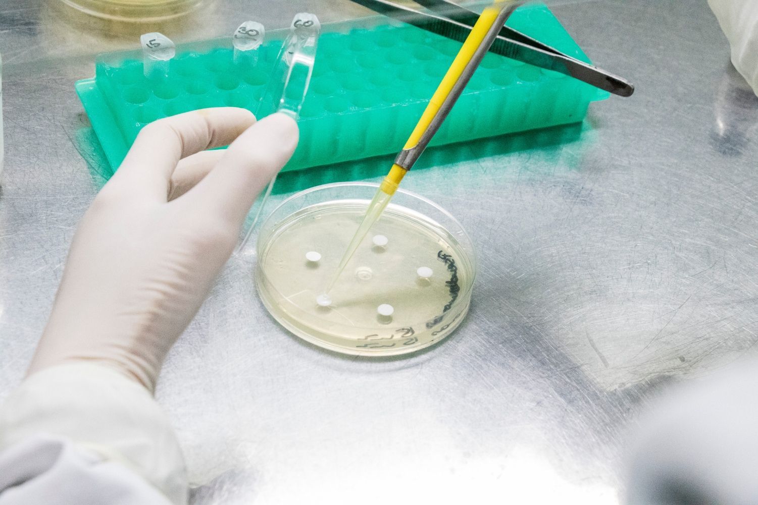 Univates abre seleção para bolsista em projeto de inovação no queijo colonial gaúcho