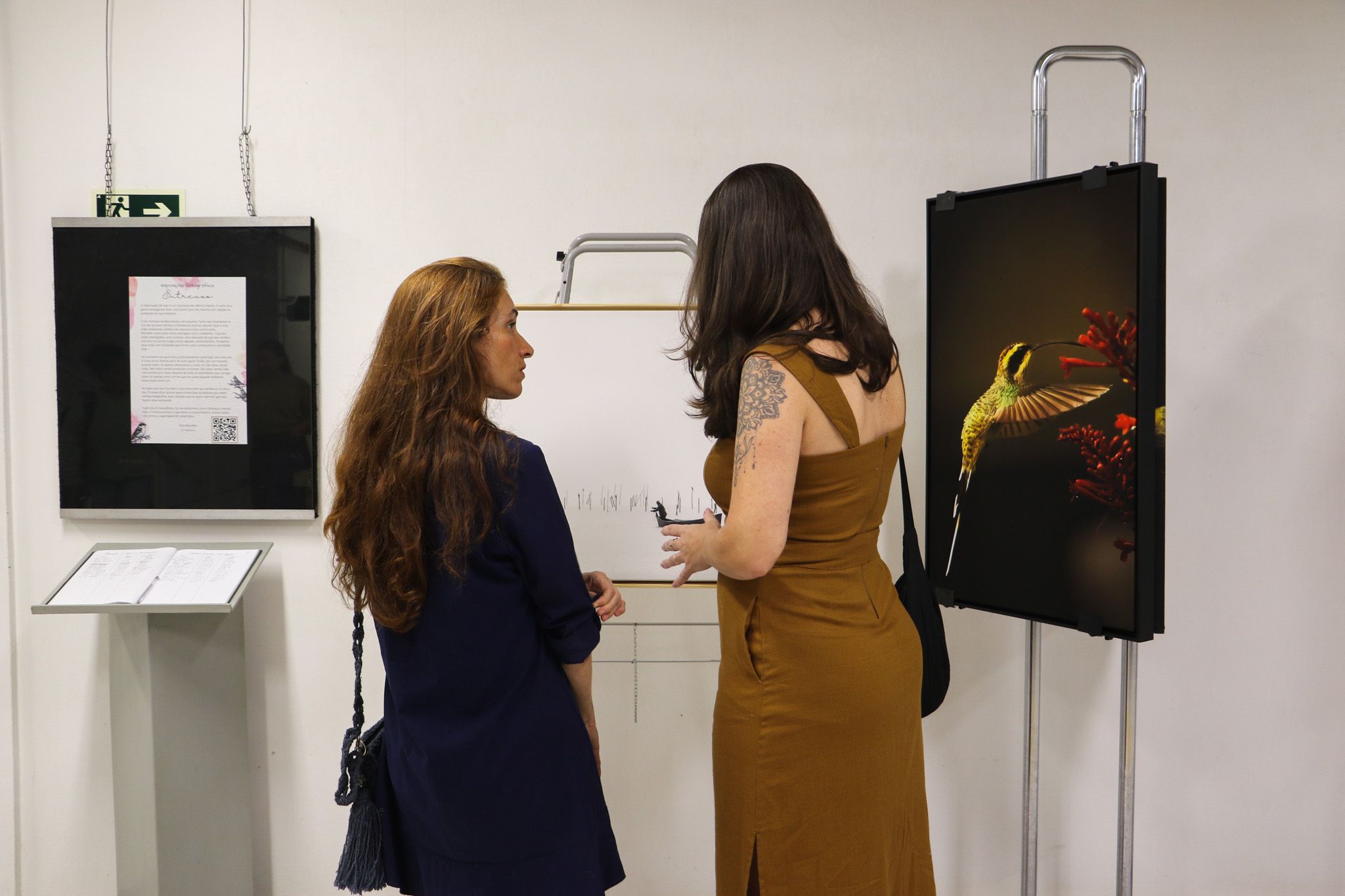 Espaço disponível para exposição