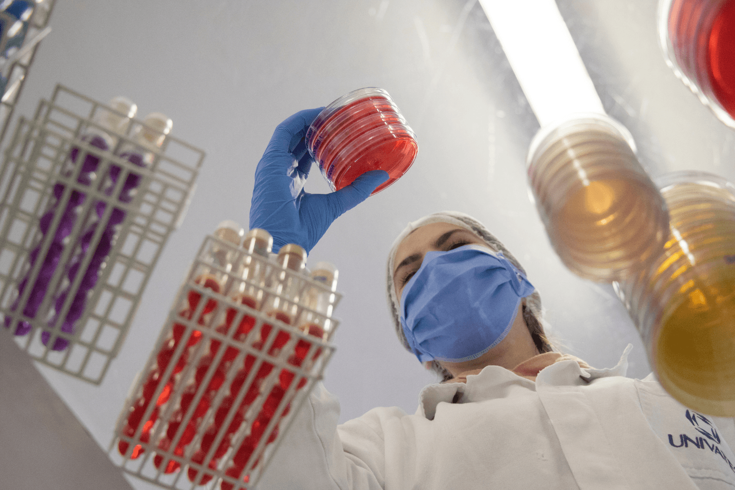 Do campo à farmácia: Unianálises garante segurança alimentar, ambiental e farmacêutica com mais de 4 milhões de análises anuais