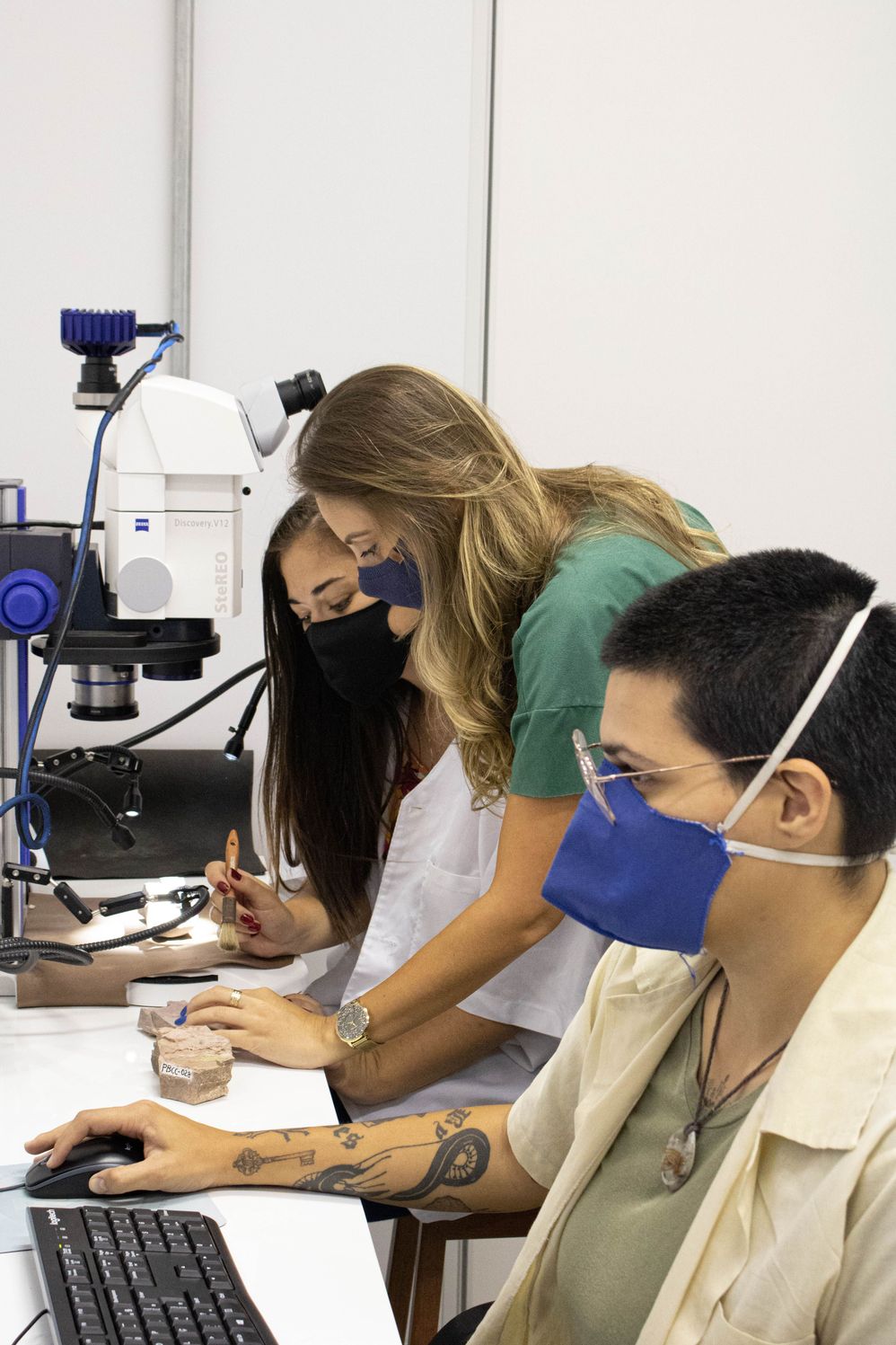 Realização de análises paleontológicas no Laboratório de Paleobotânica e Evolução de Biomas