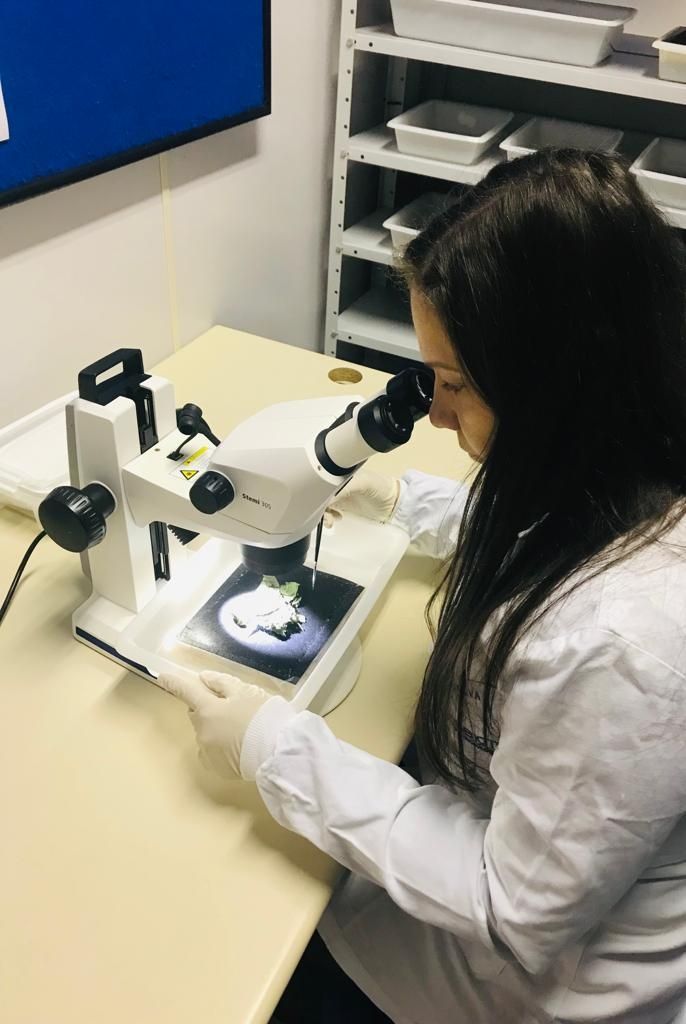 Rita é pós-doutoranda no Programa de Pós-Graduação em Ambiente e Desenvolvimento (PPGAD) da Univates