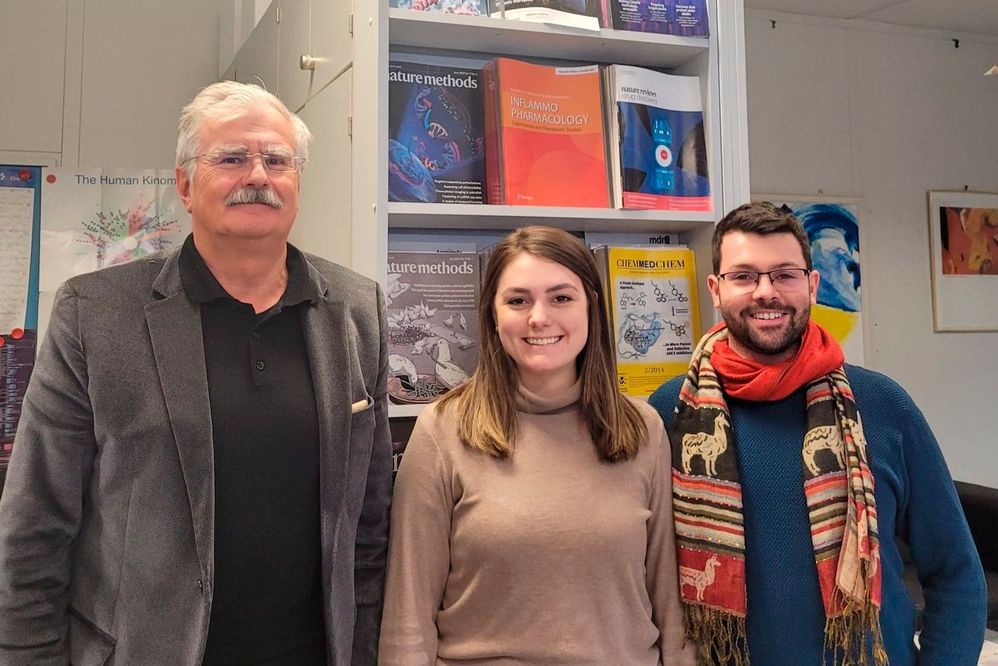 Laufer, Bublitz e Martins