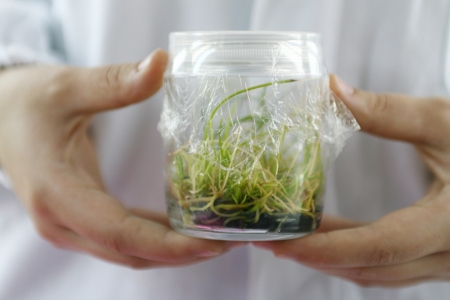 Mestrados e doutorado com inscries abertas