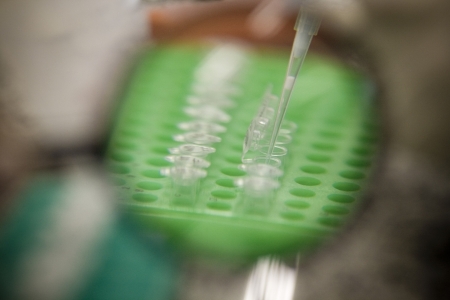 Centro Clnico Univates busca profissionais