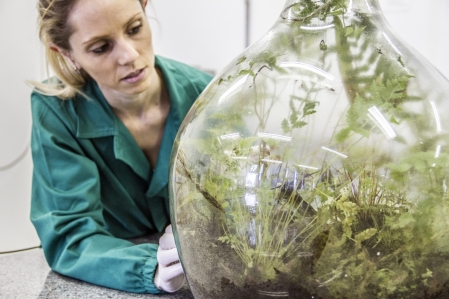 Programas de ps-graduao da Univates recebem inscries