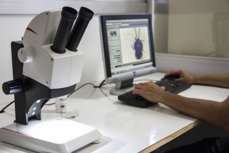 Univates becomes a world reference in the study of mites