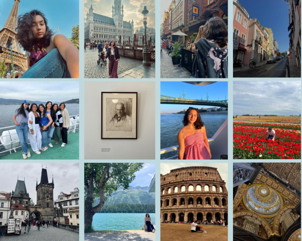 Dirio de bordo Brenda Cecin Nunes