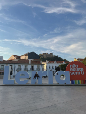 Di�rio de bordo Maiara Werner