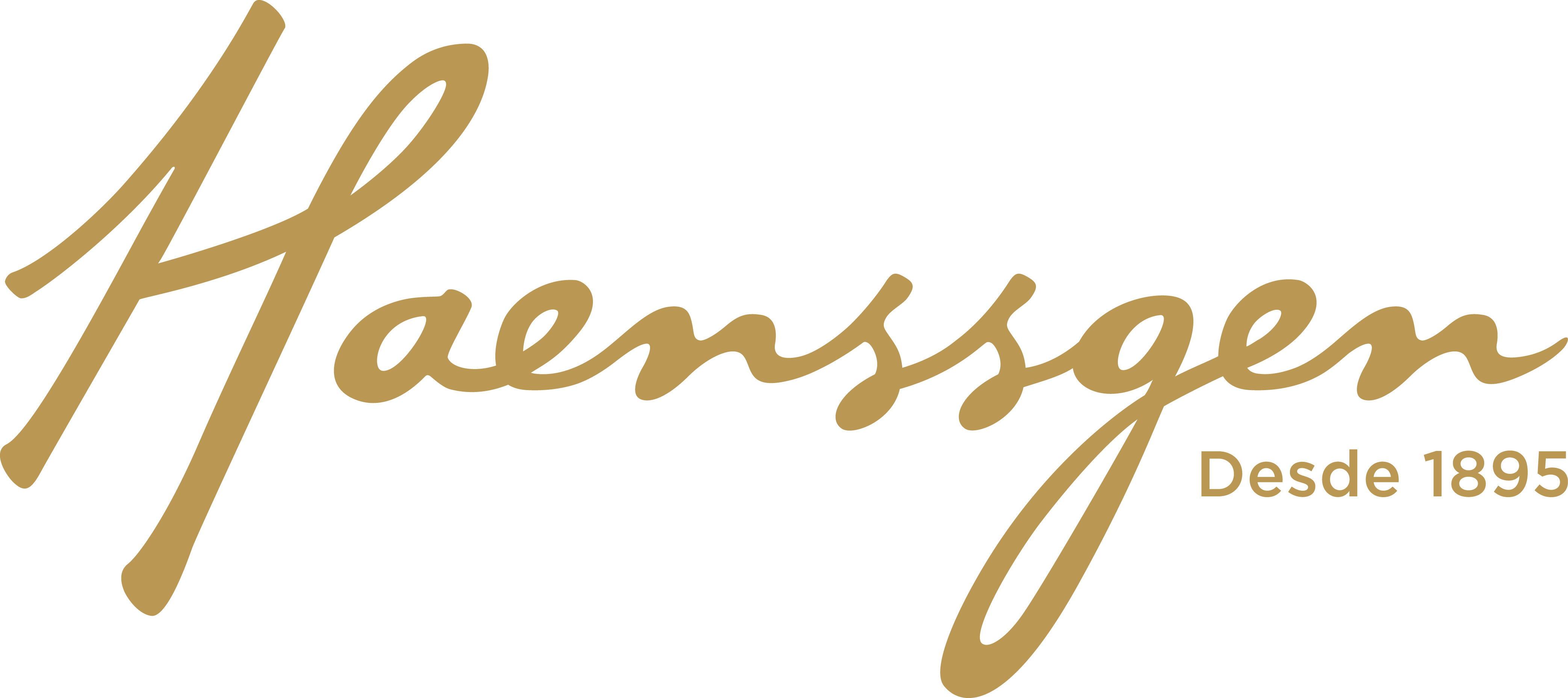 Logo Haenssgen