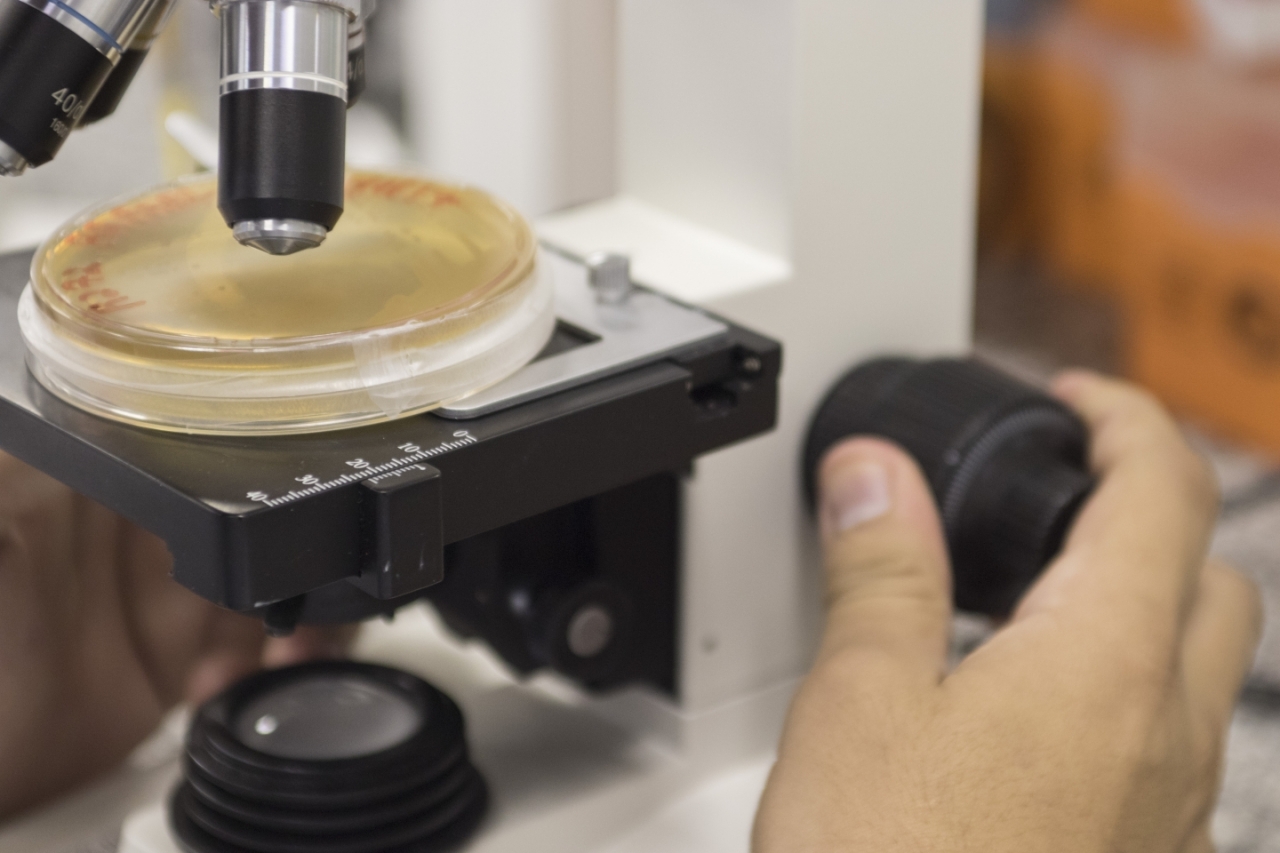 Oficinas de Biotecnologia para o Ensino Mdio