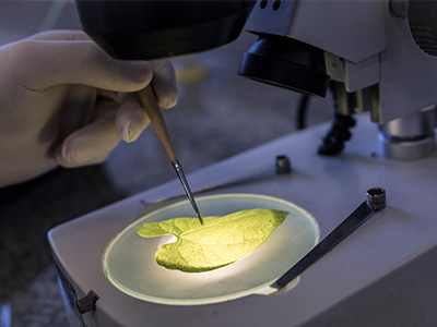 Foto do Laboratório de Pesquisa I