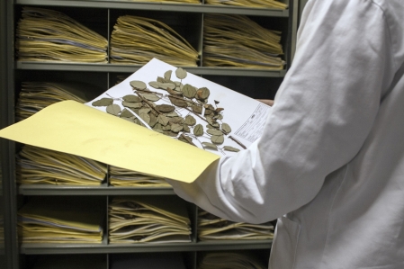 Herbrio do Vale do Taquari possui mais de quatro mil exemplares de plantas