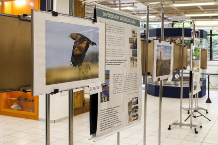 MCN promove a exposição “Nosso Pampa desconhecido”