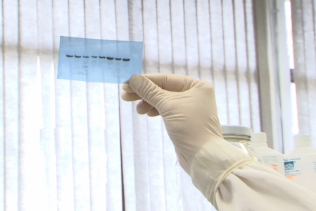 PPGBiotec realiza pesquisa sobre fertilidade humana e animal