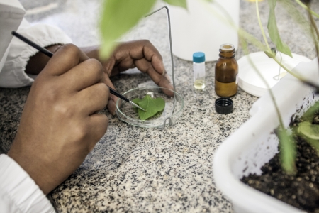 PPGAD tem inscries prorrogadas at sexta-feira