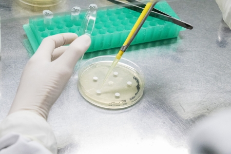 Programa de bolsas incentiva pesquisa cientfica e o desenvolvimento tecnolgico