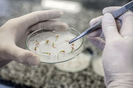 Univates recebe cinco cotas de bolsa do Programa de Doutorado Acadmico para Inovao