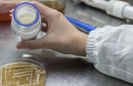 Univates inscreve para bolsas do Programa Doutorado Acadmico para Inovao (DAI)