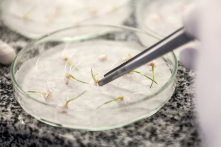 Univates realiza 1 Congresso de Inovao e Biotecnologia