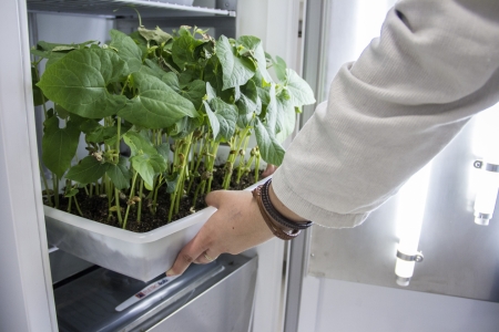 Univates  referncia no pas na identificao de caros