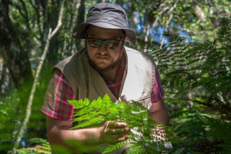 Interao entre samambaias e caros  tema de pesquisa no PPGAD