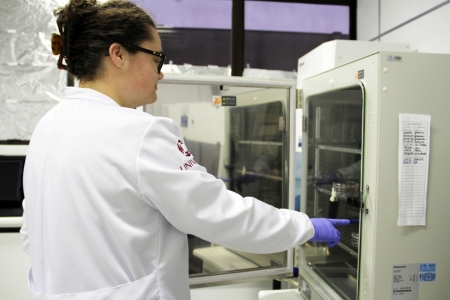 Estudante do Canad retorna  Univates para nova experincia de intercmbio