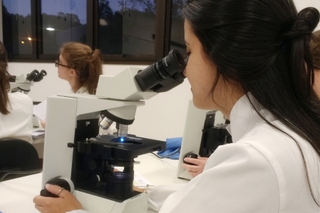 Estudante da Univates analisa presena de parasitas em hortalias
