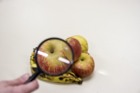 Shelf-life em alimentos: segurana para o consumidor