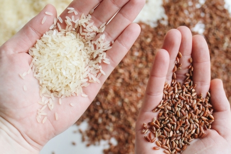 Pesquisa sobre herbicida de arroz gera depsito de patente