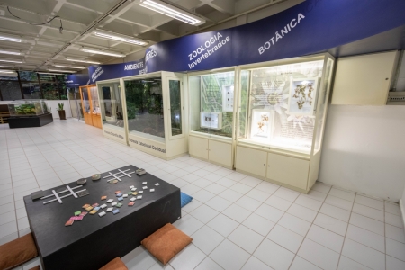 MCN da Univates reabre a sala de exposições com mostra comemorativa de 20 anos