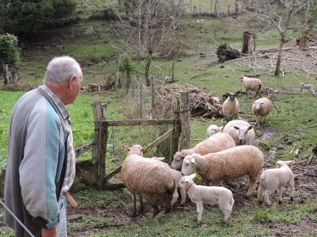 Ocupao do Vale do Taquari por imigrantes italianos e descendentes aconteceu conforme prticas de uso do espao adotadas na Itlia, revela pesquisa