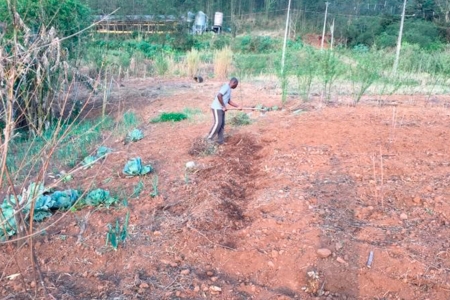 Fluxo migratrio contemporneo dinamiza pequenas cidades no Vale, indica pesquisa da Univates