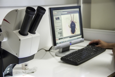 Na Univates, cincia para a produo orgnica de alimentos