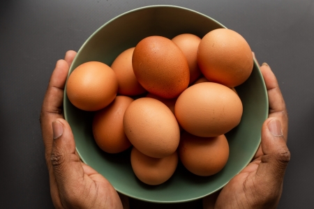 Pesquisa da Univates estuda protenas da clara do ovo e seu potencial antimicrobiano para a indstria alimentcia