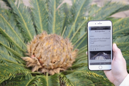 Pesquisa produzida pela Univates recebe projeo internacional no The New York Times