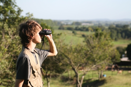 Entre teses e dissertaes, mais de 30 trabalhos foram apresentadas no PPGAD da Univates em 2020