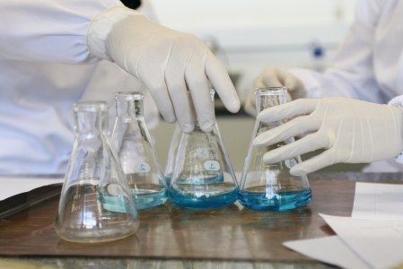 Durante o ltimo ano, 19 dissertaes sobre o Ensino de Cincias Exatas foram apresentadas na Univates