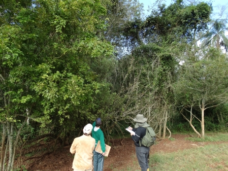 PPGSAS da Univates tem estudos que abordam sustentabilidade