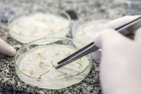 Ao longo de 2020, o PPGBiotec da Univates teve duas dezenas de trabalhos apresentados