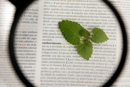 Em 2020, 120 teses e dissertaes foram apresentadas na Univates