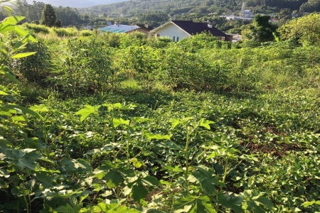 Doutor pelo PPGAD apresenta trabalho fruto de tese em evento da Oxford Brookes University