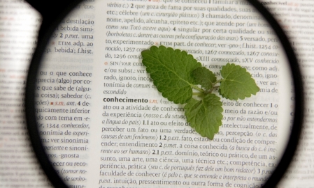 PPGBiotec da Univates tem dois de seus pesquisadores listados em ranking dos melhores da Amrica Latina