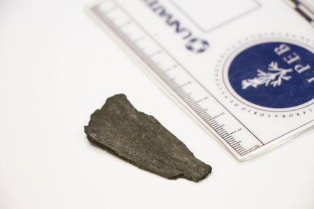 Nova pesquisa projeta Univates internacionalmente