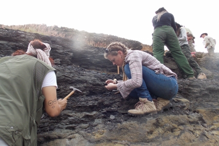 Estudo avalia relao entre queimadas e mudanas climticas a partir do carvo fssil