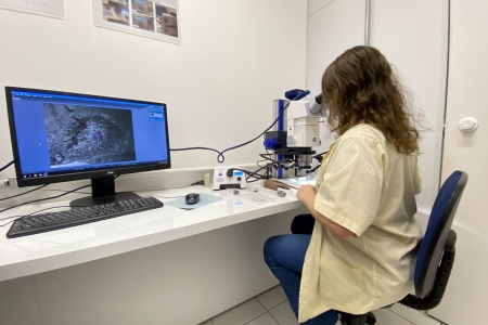 ndia tambm teve incndios no Cretceo, atesta pesquisa internacional liderada pela Univates