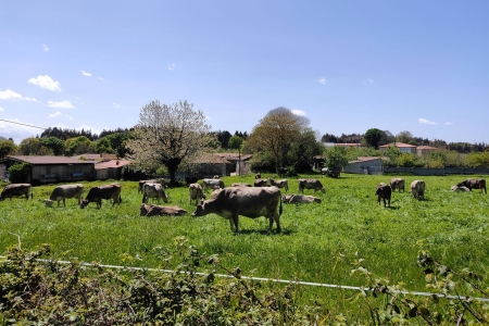 Pesquisador da Univates volta à Espanha para continuação de estudo sobre gestão em propriedades produtoras de leite