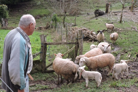 Estudo associa clima  ocupao do Vale do Taquari por imigrantes italianos nos sculos XIX e XX