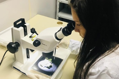 Pesquisadora do PPGAD tem projeto selecionado pelo programa Doutor Empreendedor, da Fapergs